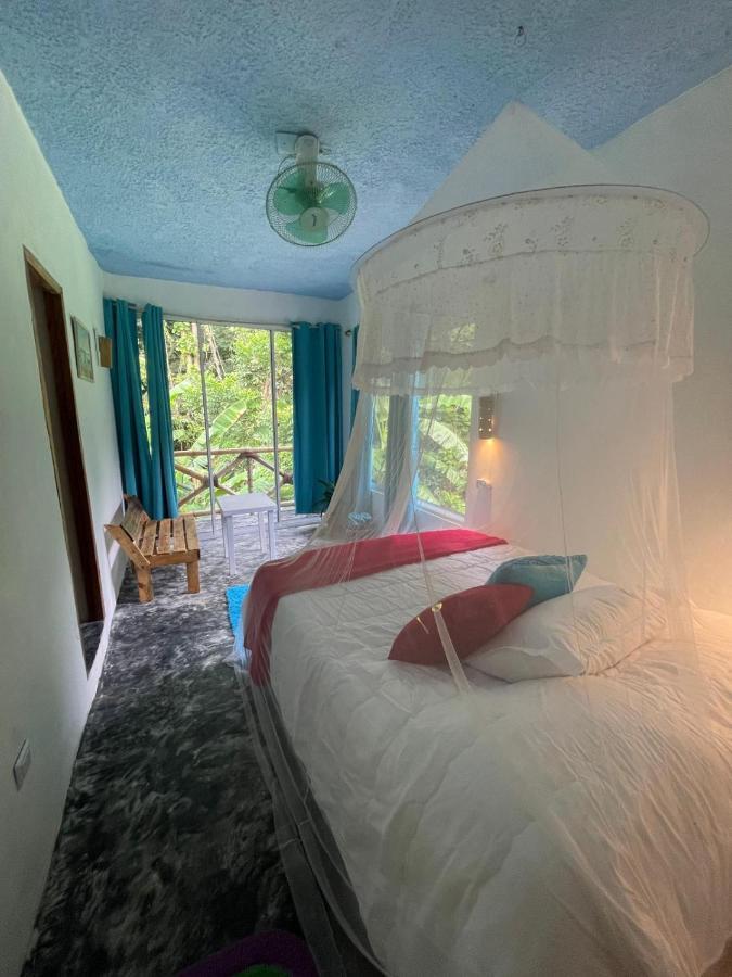Salvaje Rooms&Restaurant Samana Kültér fotó