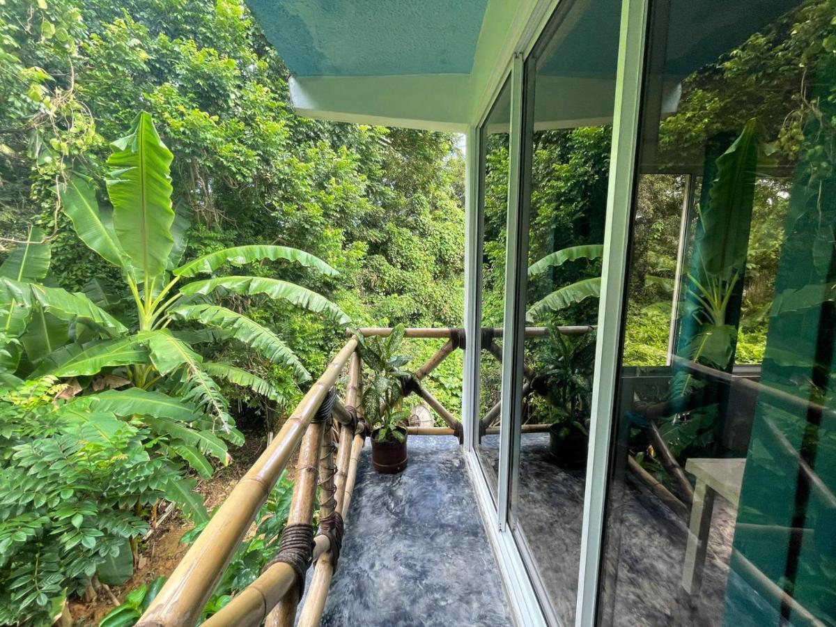 Salvaje Rooms&Restaurant Samana Kültér fotó